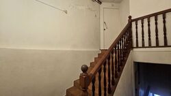 Trengganu Street (D1), Shop House #539954771